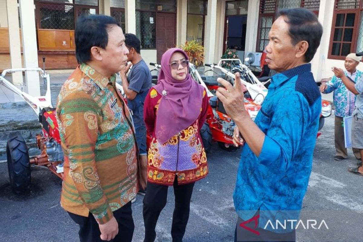 Ratusan hektare padi puso akibat kekeringan, Pemkab Kotim usulkan bantuan