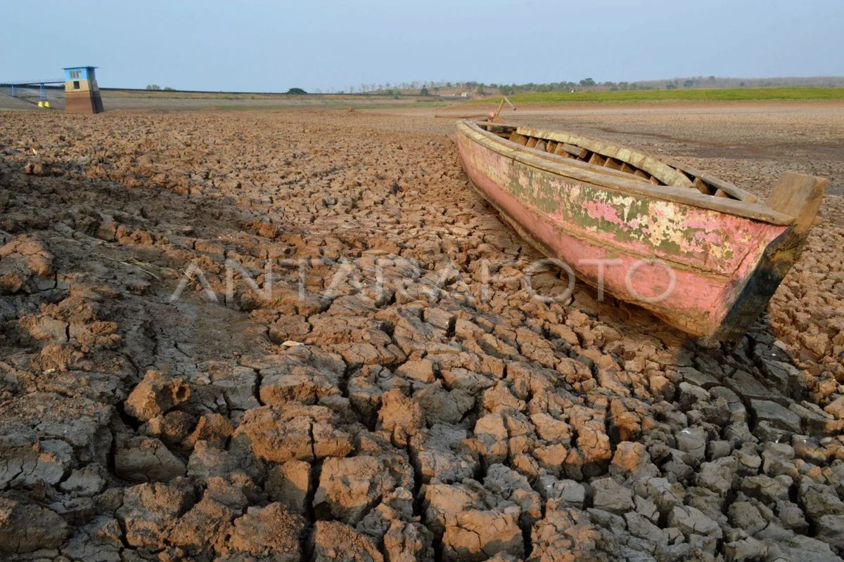 Indonesia's BMKG warns countries about real threat of climate change