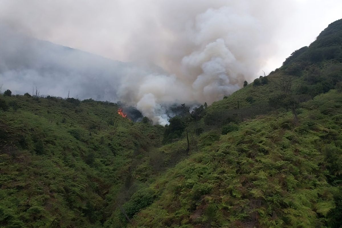 Karhutla Gunung Papandayan Jabar telah dilokalisir