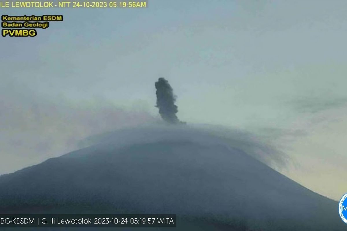 Gunung Ili Lewotolok meletus