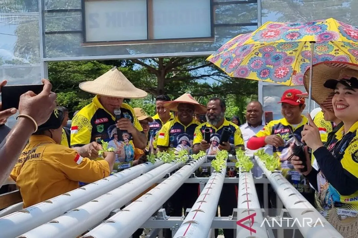 west-papua-launches-second-phase-of-food-security-garden