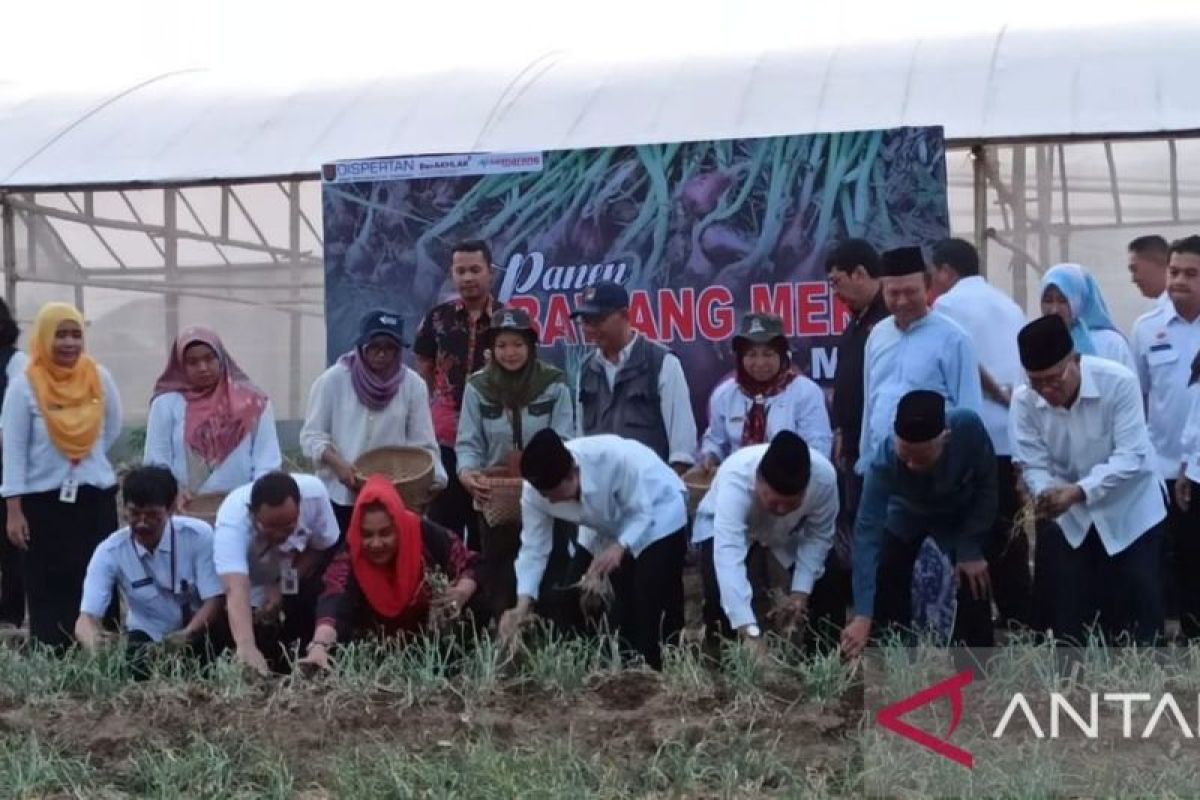 Pemkot Semarang ajak pengurus masjid kembangkan pertanian  perkotaan