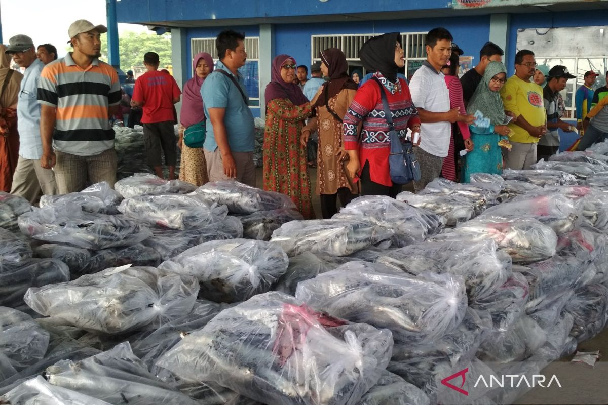 Hasil tangkapan  ikan laut di Pati per Agustus capai 44.433 ton