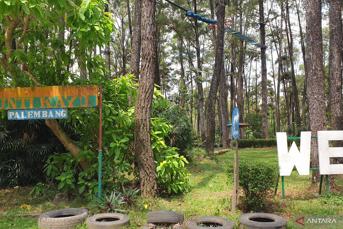 Kebakaran hutan wisata Punti Kayu Palembang tak pengaruhi operasional kunjungan wisata