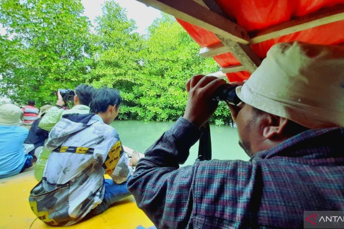 Burung Indonesia menyenggarakan WMBD 2023 di tiga kawasan mangrove Pohuwato