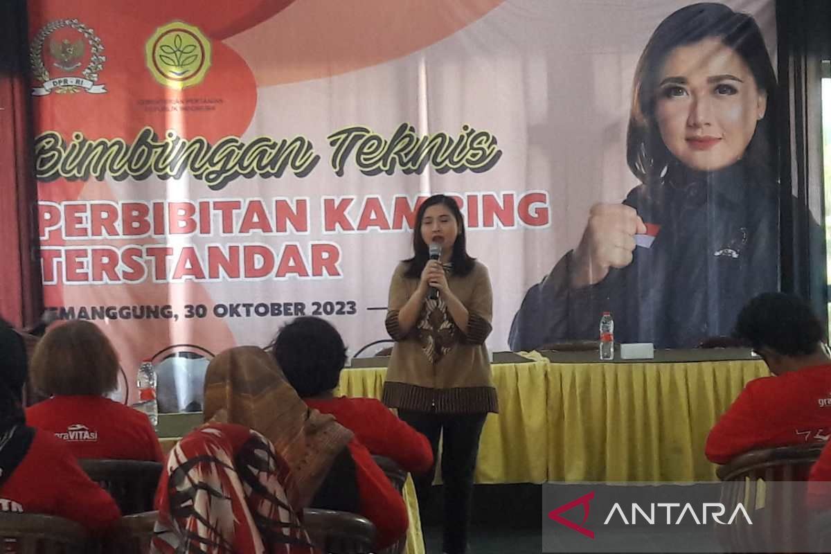 2.500 ekor domba Temanggung per bulan dijual ke pasar