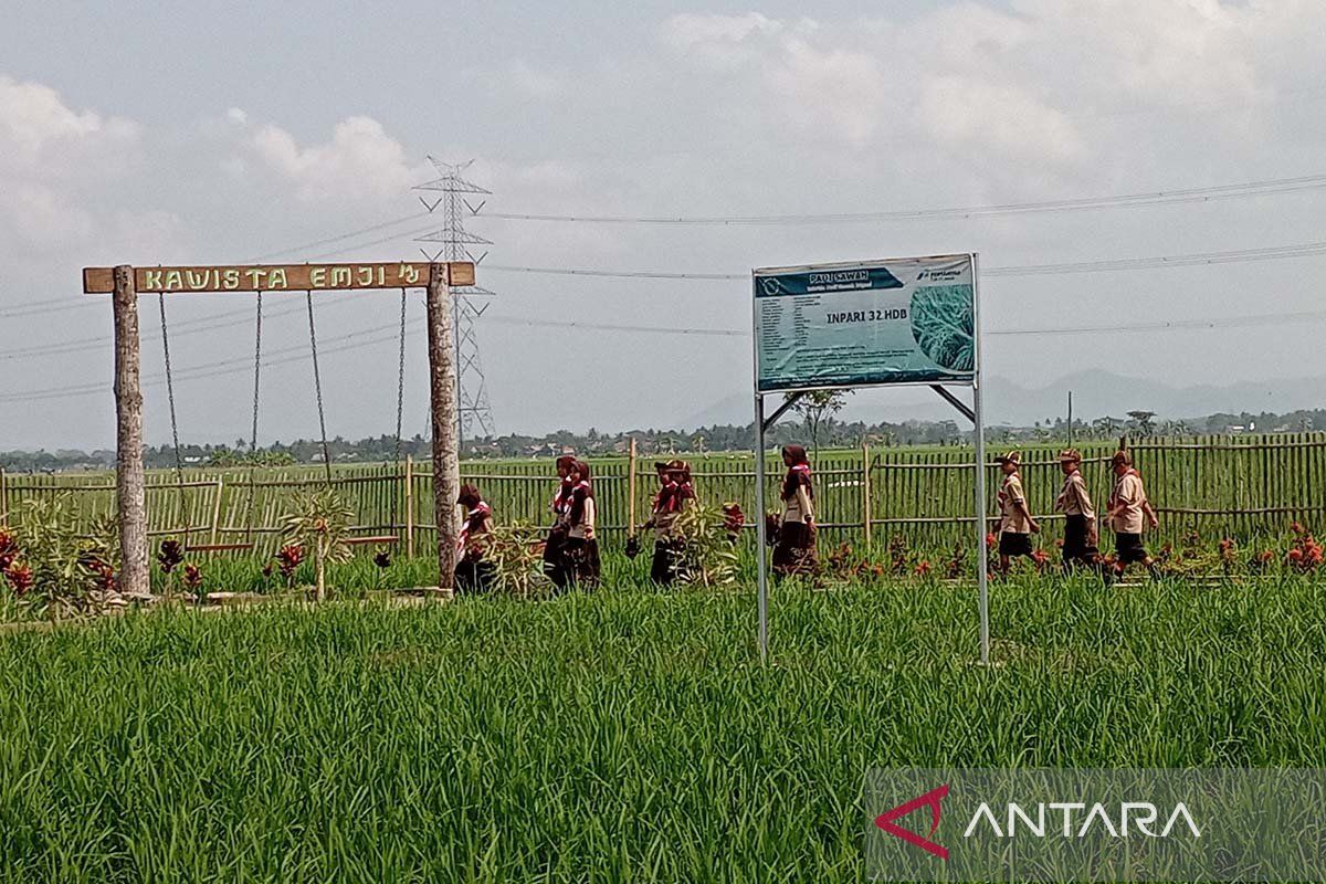 Membangkitkan semangat bertani sejak dini melalui  Kawista Mernek