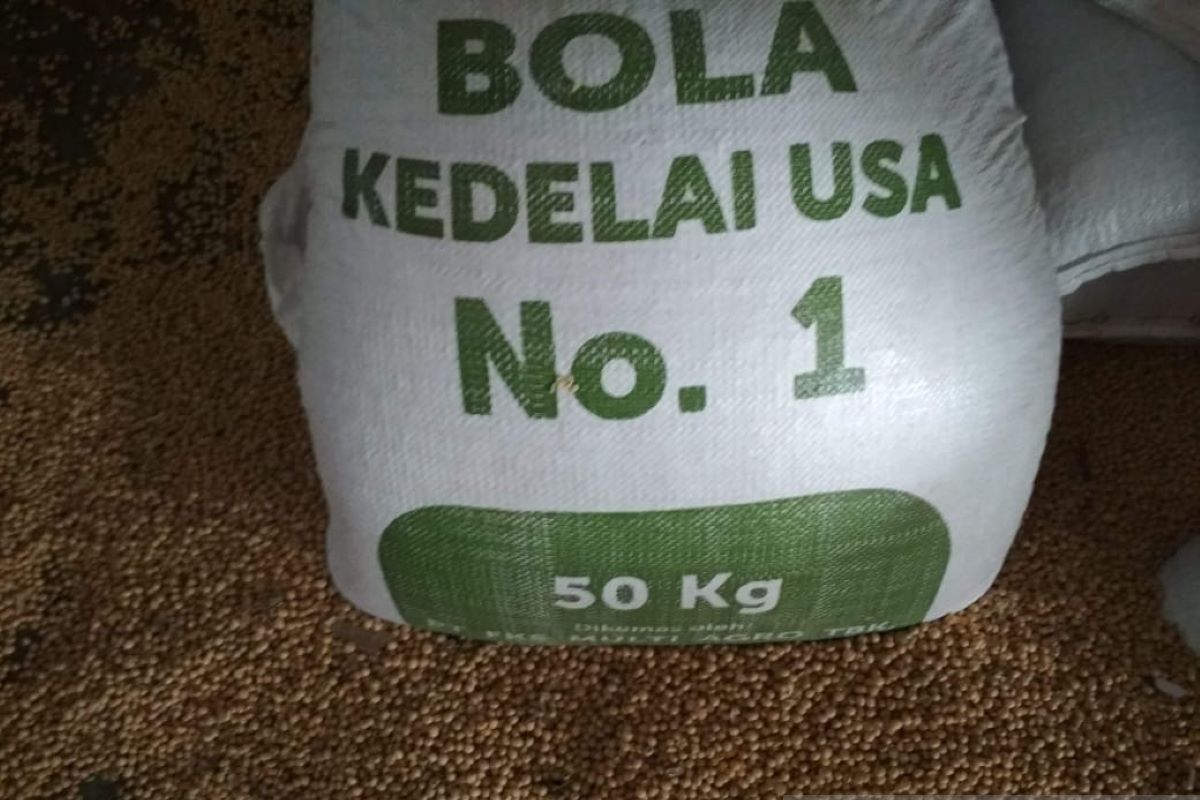 Primkopti: Harga kedelai impor di Kudus  capai Rp12.550 per kg