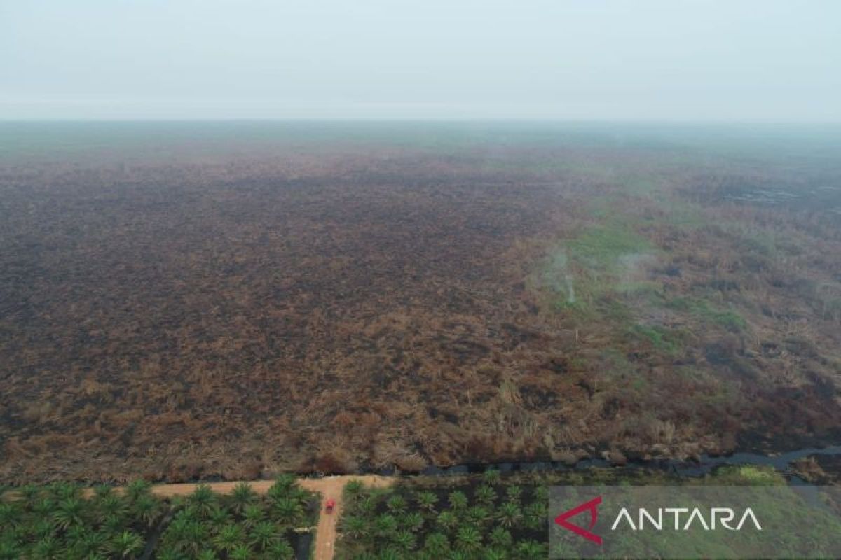 Tim Damkar Polda Sumsel terlibat padamkan api kathutla di Indralaya