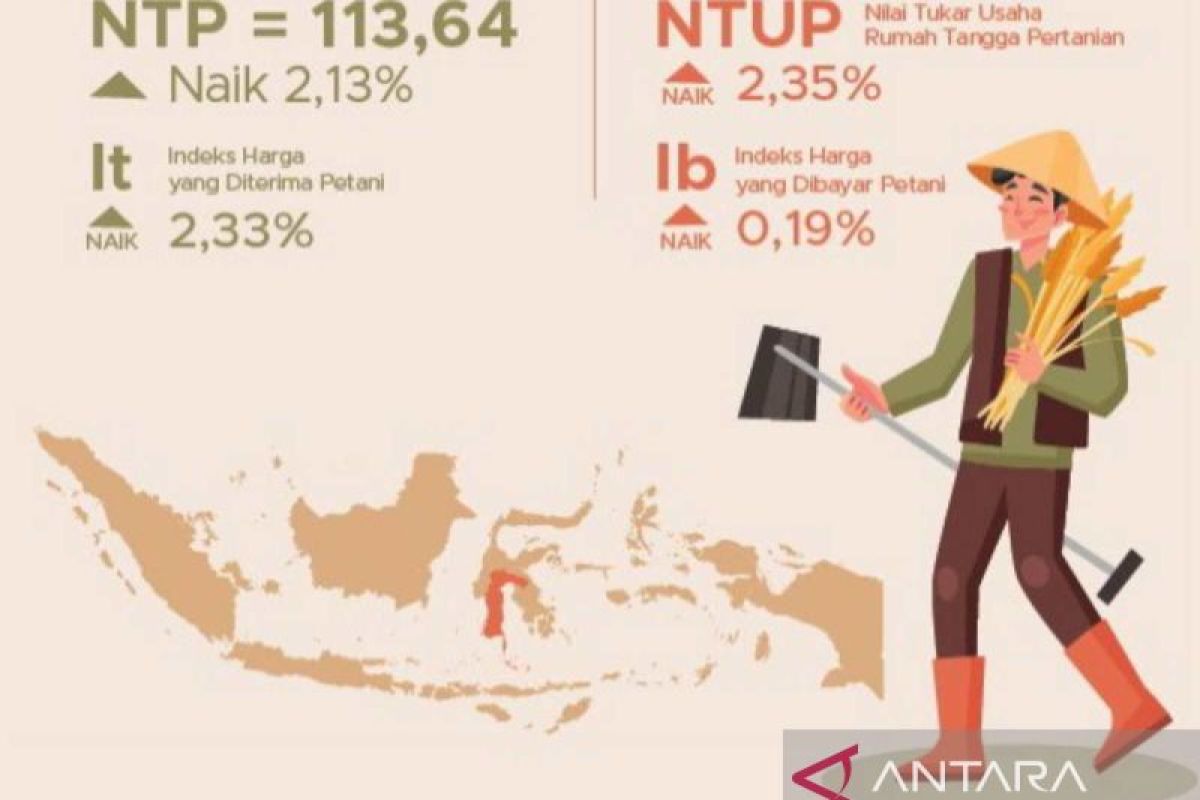 BPS: Nilai tukar petani Sulsel pada Oktober 2023 naik 2,37 persen