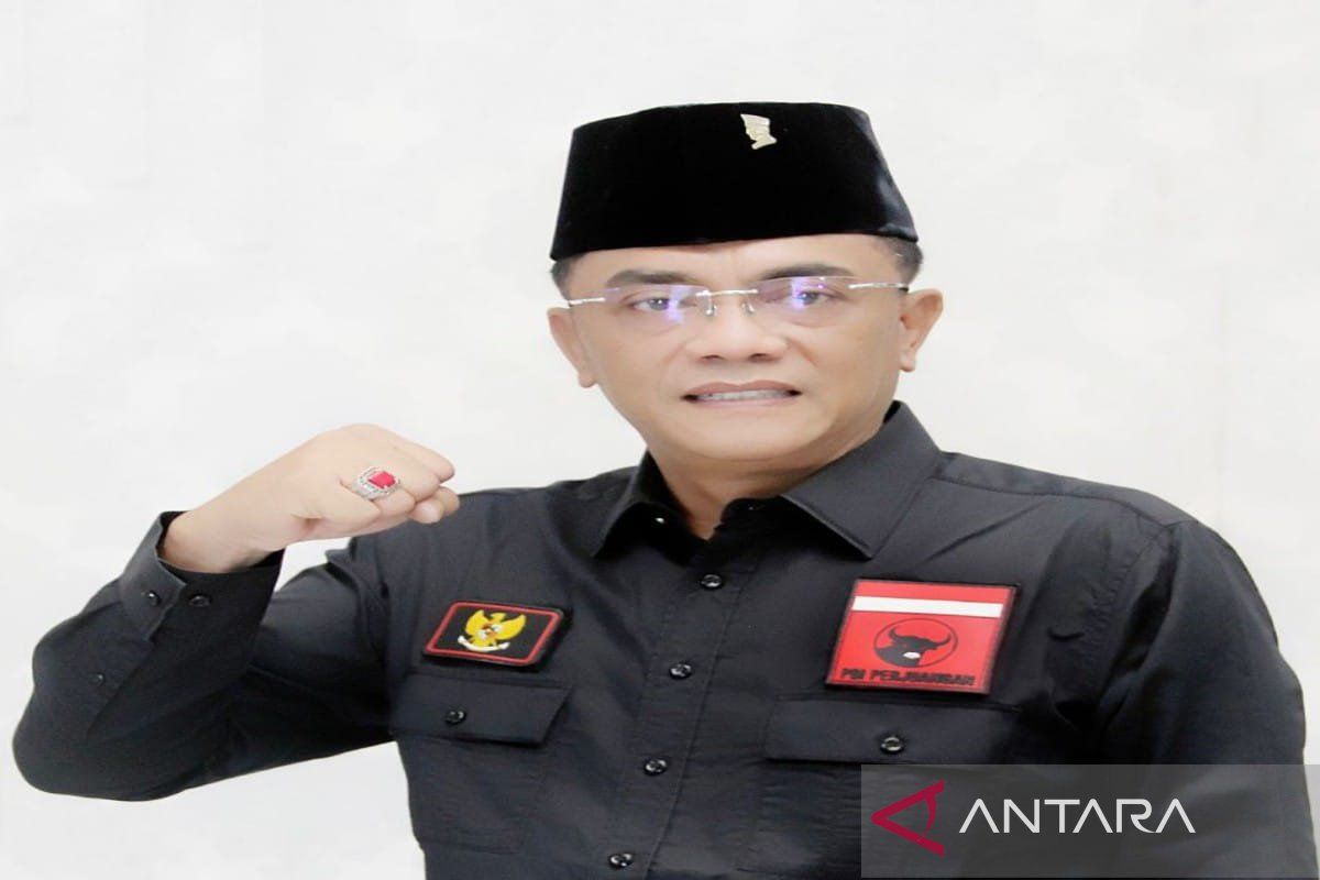 Kabut asap tipis, Ketua DPRD Palangka Raya minta warga tetap waspadai karhutla