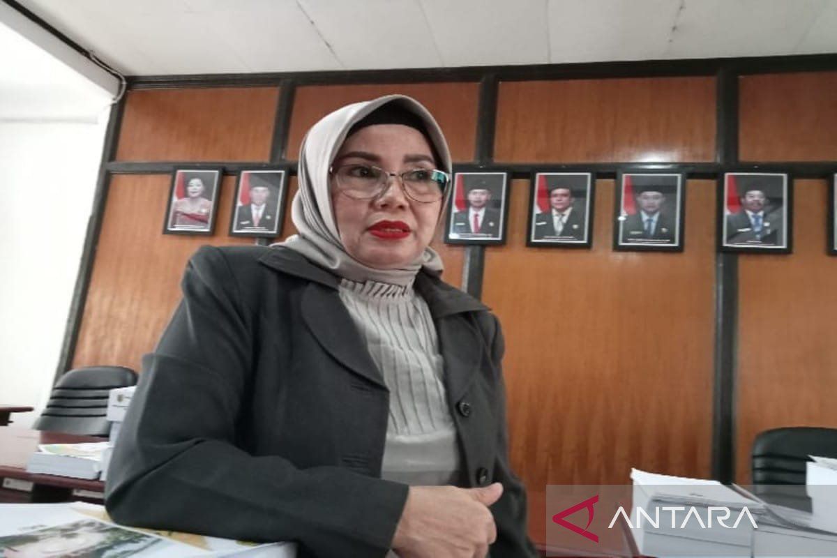 Legislator apresiasi toko ritel mulai terapkan tak sediakan kantong plastik saat belanja