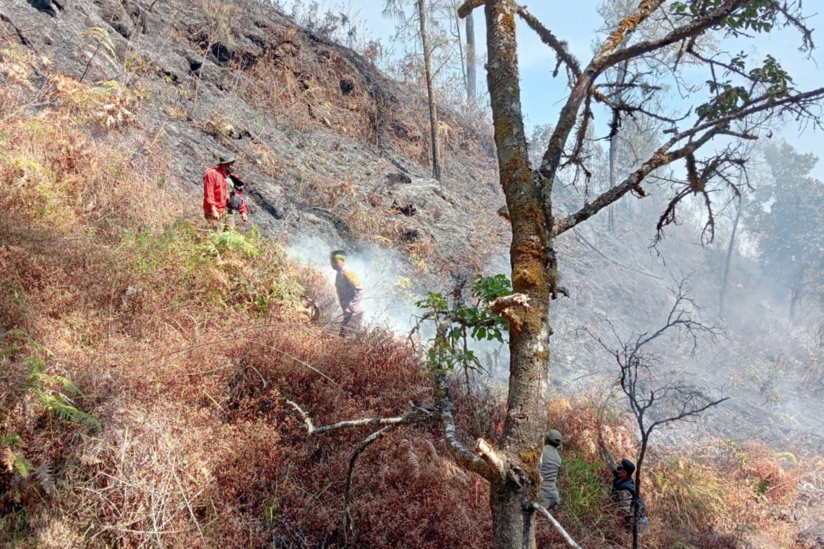 5 titik api masih terlihat di lahan kebakaran Gunung Rinjani