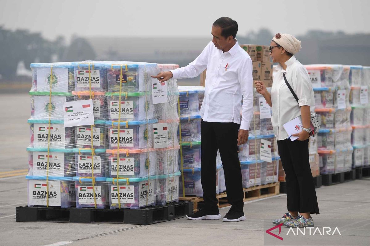 Menhan pastikan RI langsung mengirim kapal RS saat diizinkan Mesir