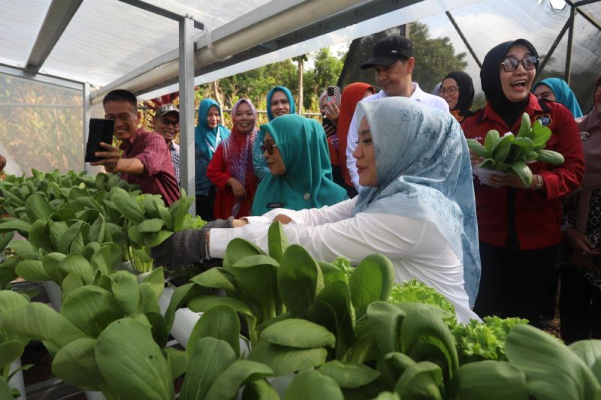 Sulsel memberikan PMT anak stunting dan ibu hamil KEK di Lutim