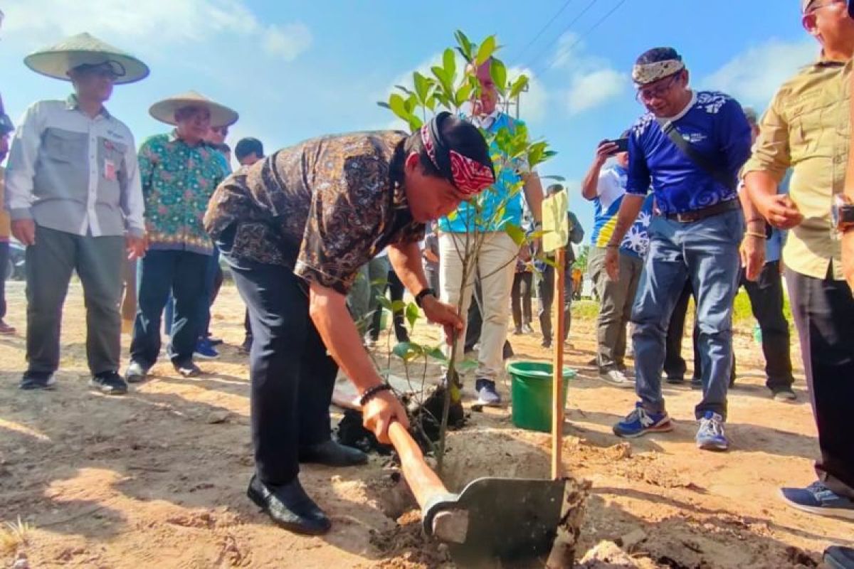 Jadi Rangkaian HUT Kaltara, Gubernur Ikuti Penanaman Bibit di Desa Tengkapak