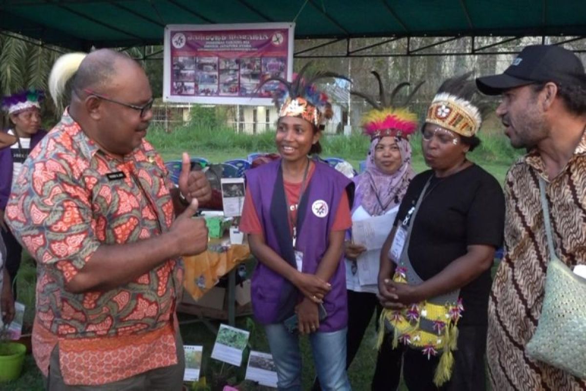 Pemkot Jayapura tingkatkan kemampuan kader persiapkan kampung bebas malaria