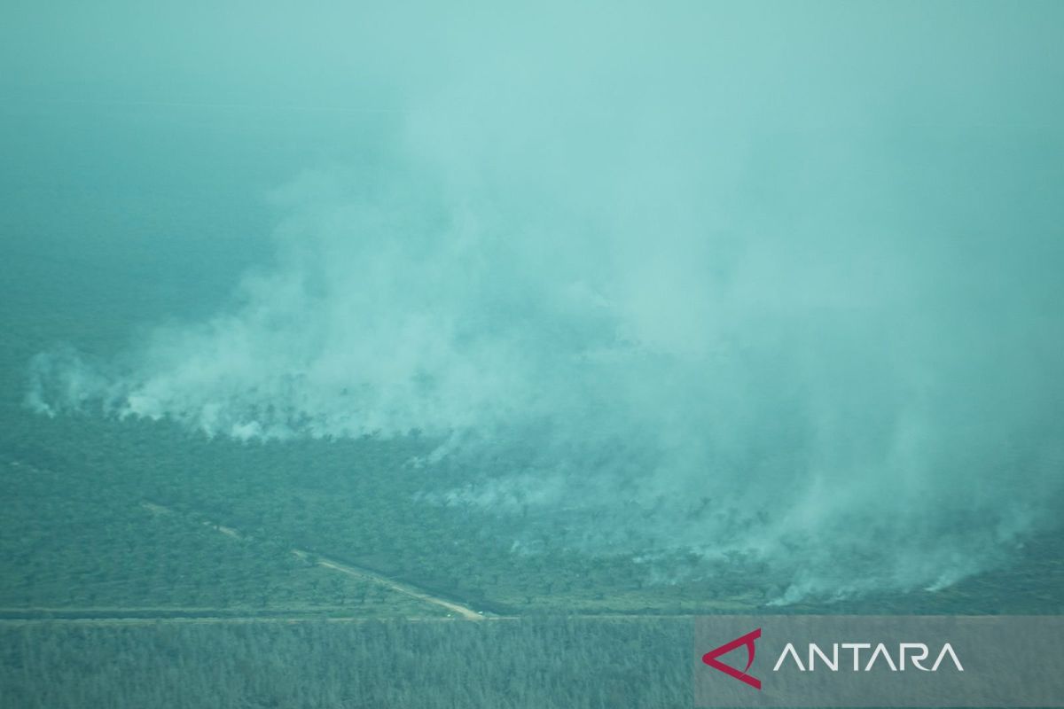 Polda Sumsel terus pantau dampak kebakaran hutan dan lahan