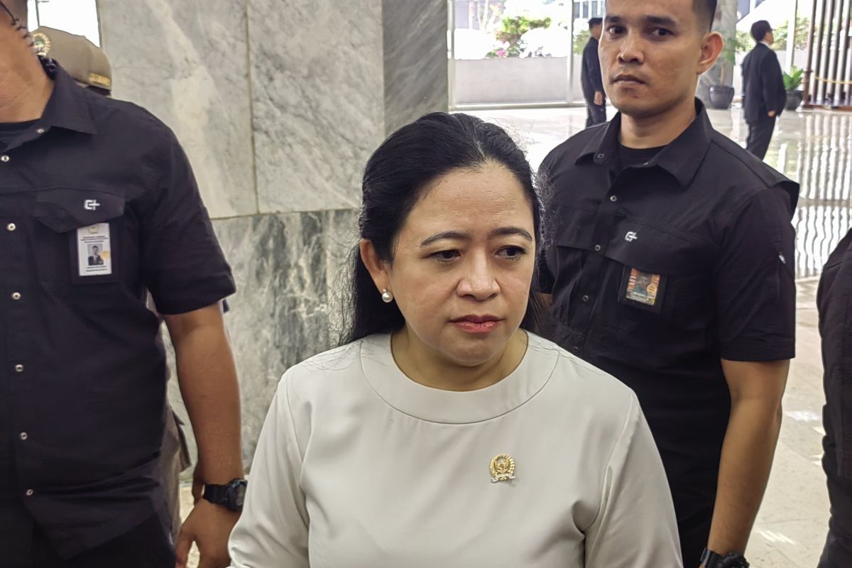 Puan Maharani sebut Hari Pahlawan merupakan momentum perjuangan kesejahteraan Indonesia