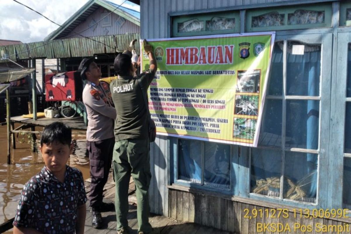 BKSDA catat kasus konflik buaya dan manusia di Kotim kian menurun