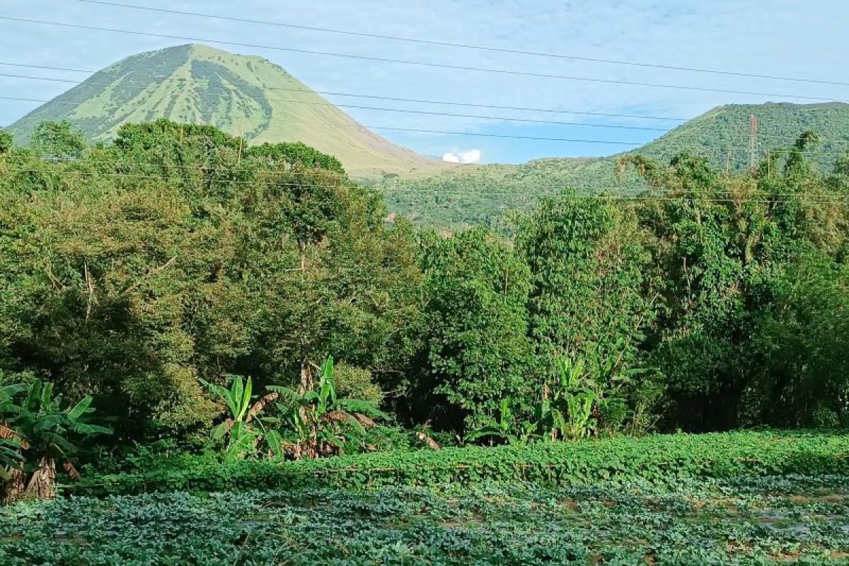 Pos PGA: Suhu dasar kawah Gunung Lokon meningkat