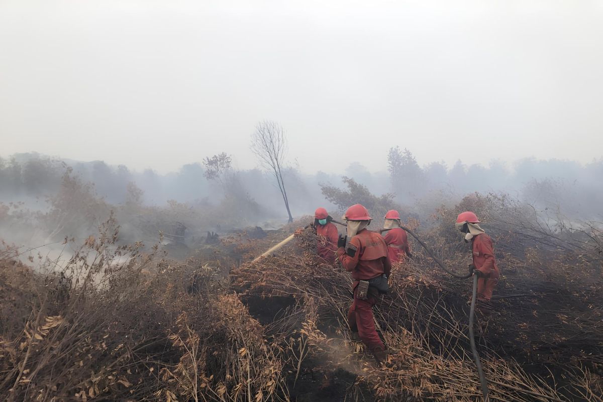 BRIN sebut antropogenik picu karhutla di Indonesia