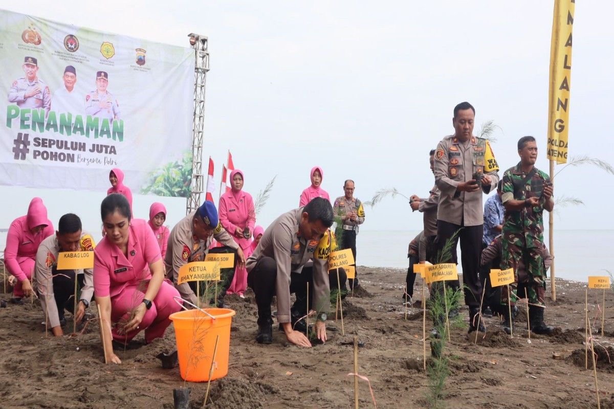 Polres Pemalang tanam ratusan bibit cemara