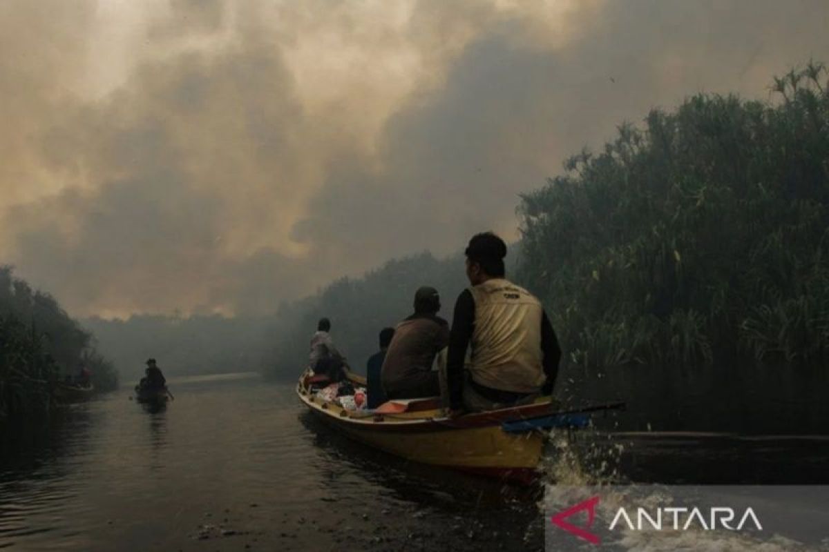 13 juta hektare lahan gambut rusak