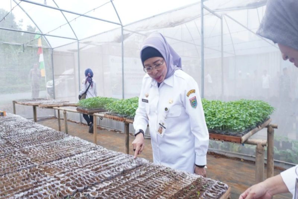 Pemkab Batang-BI salurkan bantuan 40 ribu bibit cabai pada  petani