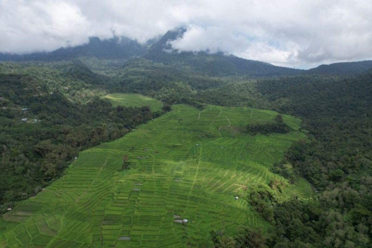 BPOLBF sebut Desa wisata Golo Loni perkuat pariwisata Flores