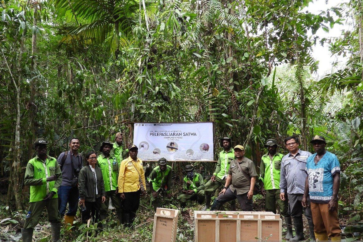 Sejumlah satwa endemik Papua dilepas di hutan Miyoko Mimika