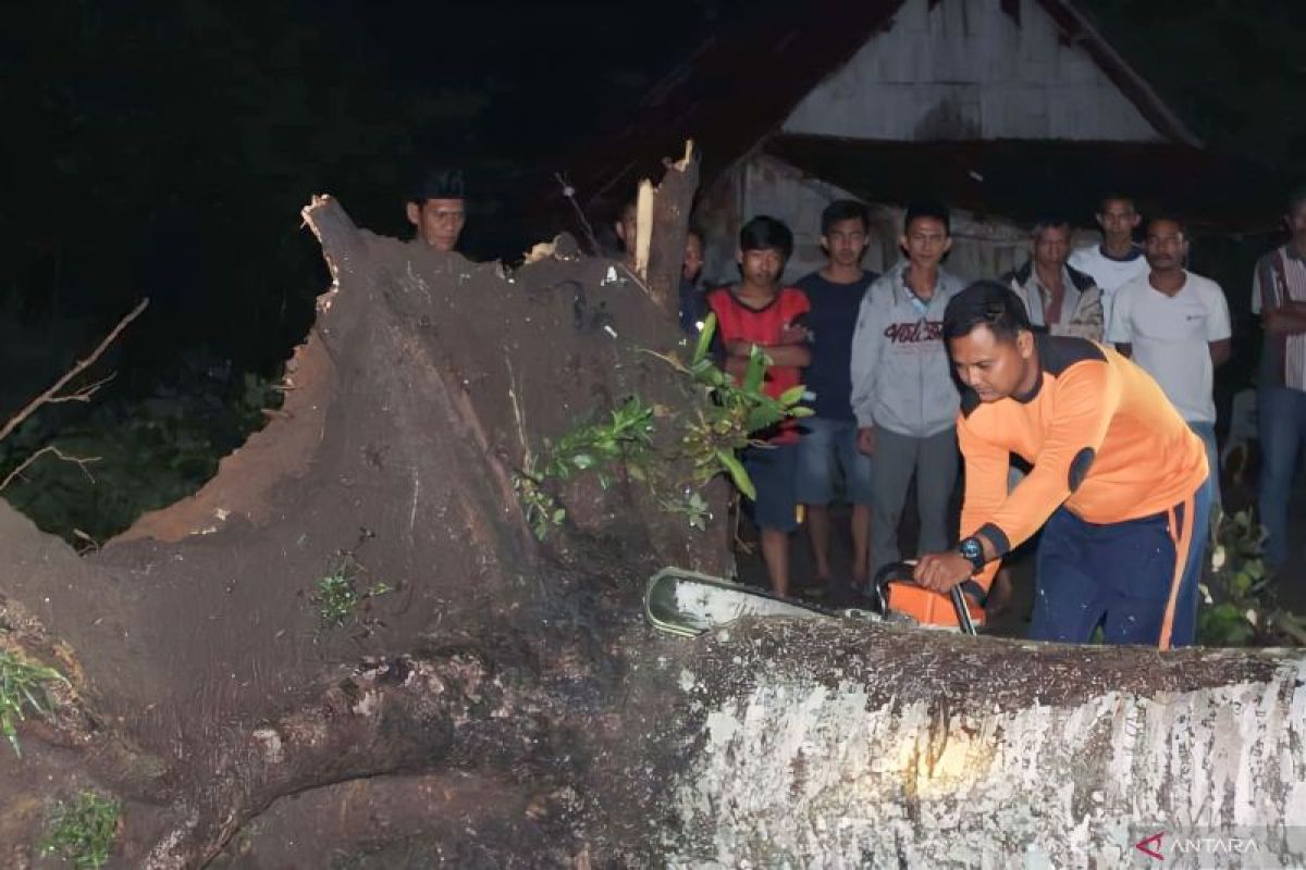 Satu unit rumah warga di OKU Selatan hancur dihantam pohon tumbang