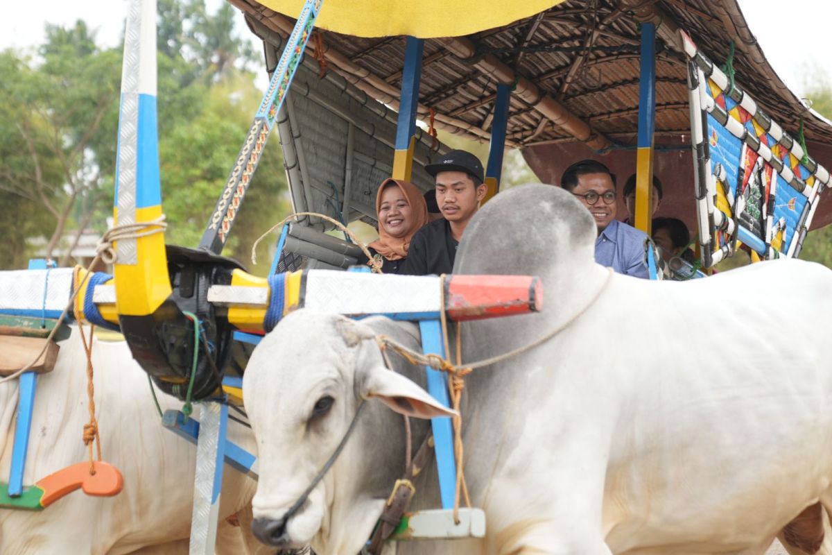 Bupati Transportasi Tradisional Bisa Menjadi Daya Tarik Wisata Sleman