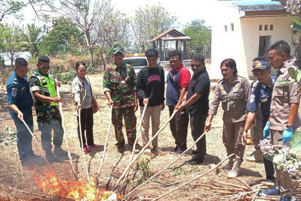 Karantina musnahkan 70 kilogram daging babi ilegal