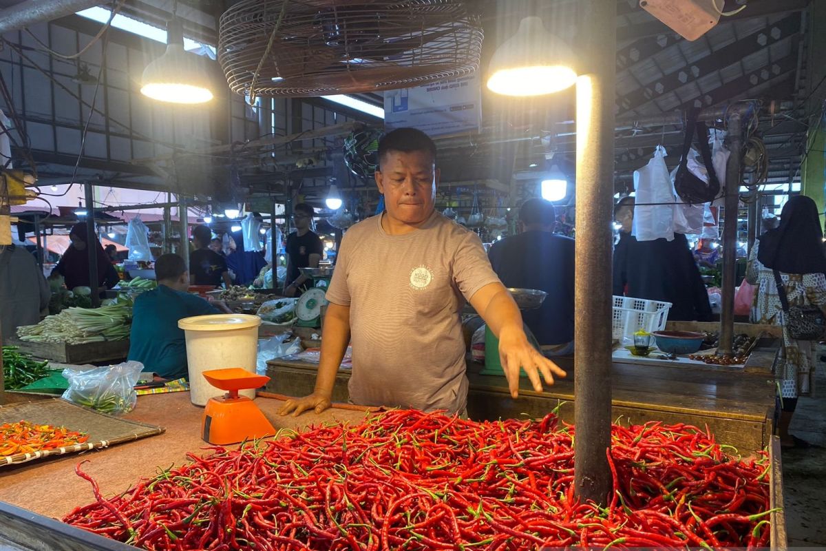Pemprov Jambi sediakan 14 ton cabai merah buat operasi pasar