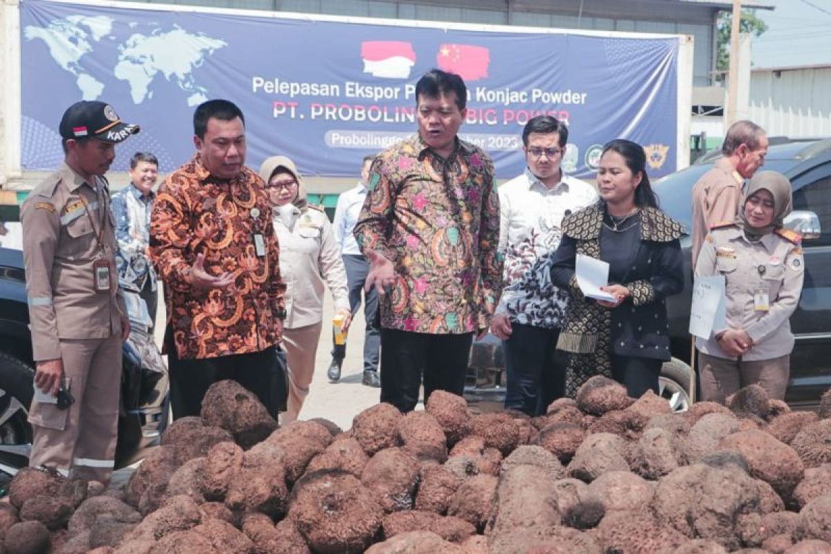 Kabupaten Probolinggo ekspor perdana tepung porang ke China