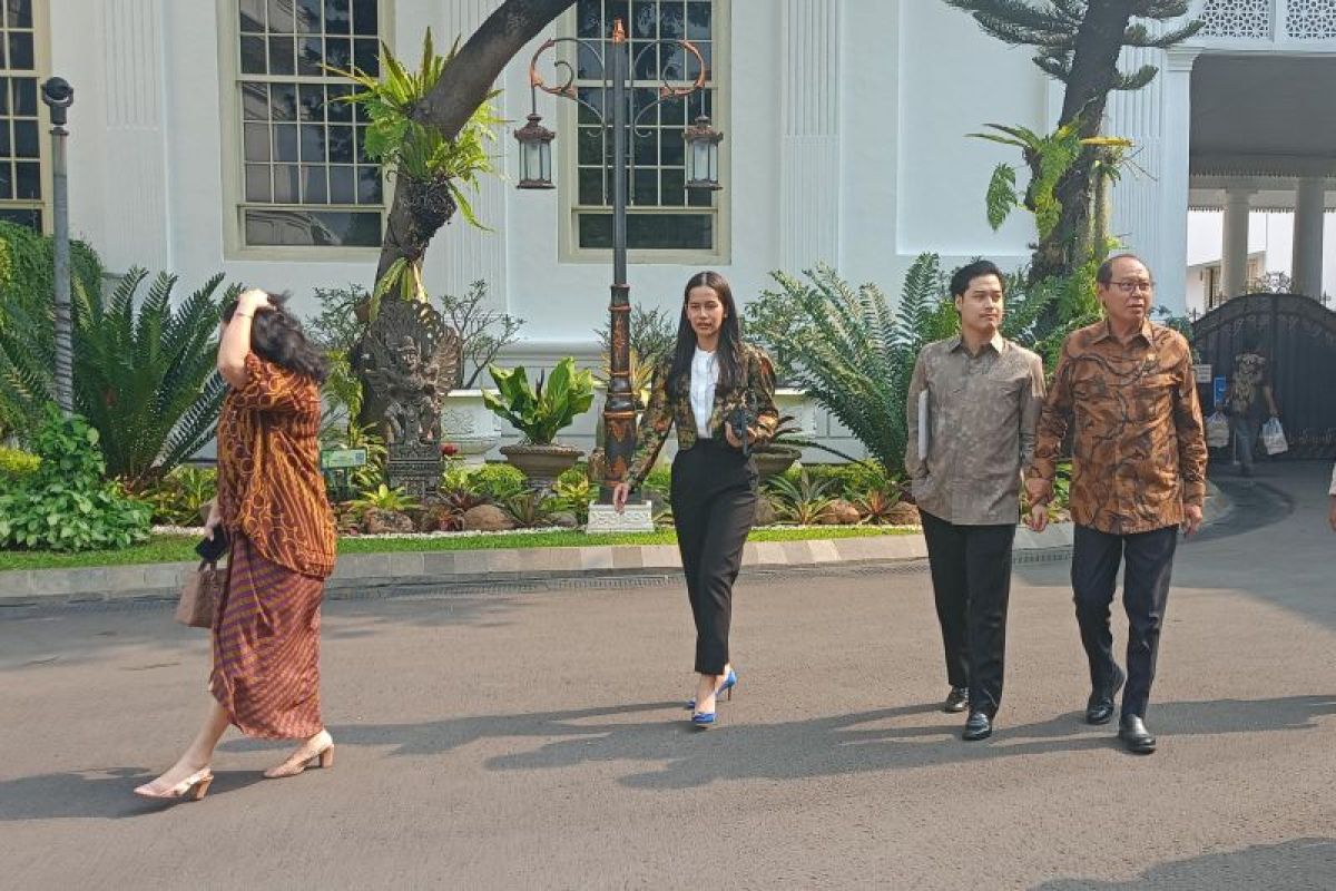 Anggota Wantimpres Djan Faridz temui Jokowi di Istana
