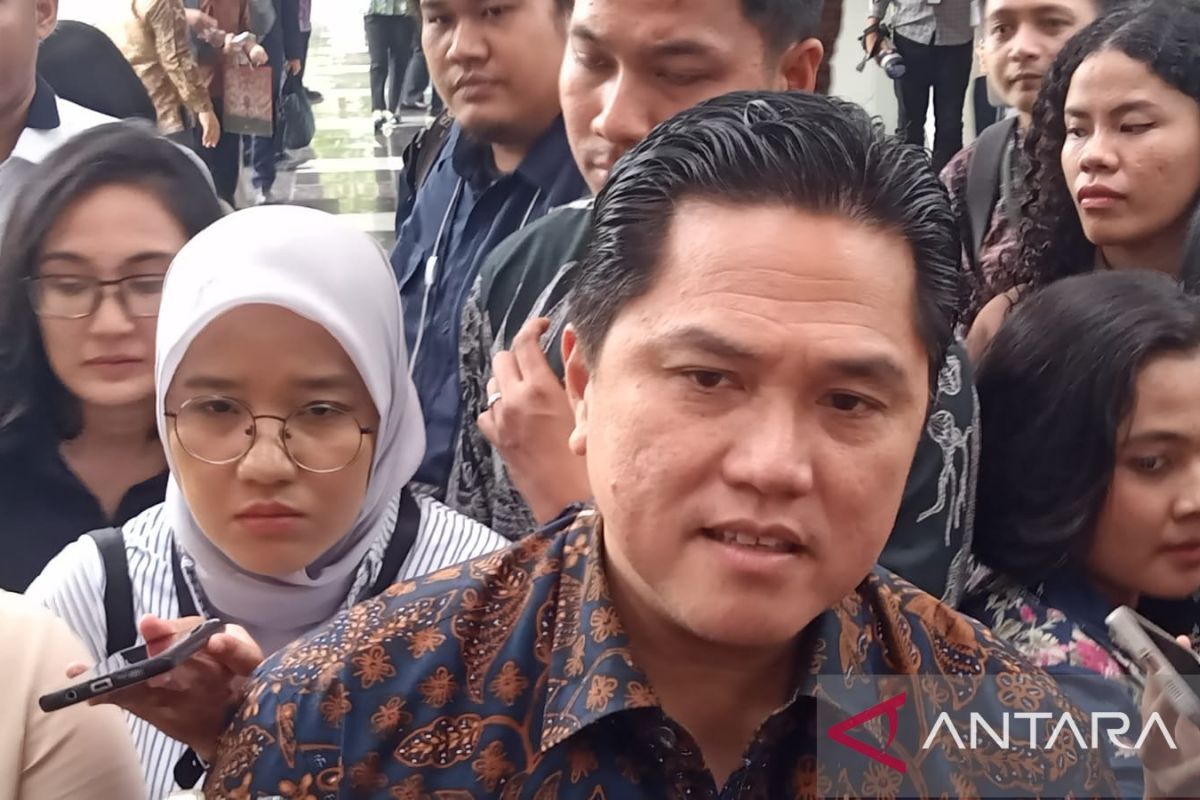 Menteri BUMN Erick Thohir tegaskan harga divestasi saham Vale harus murah