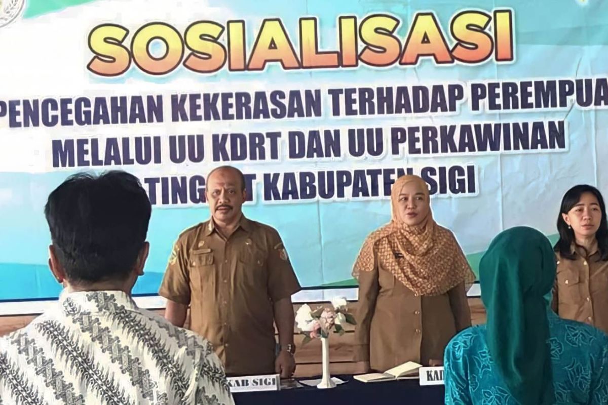 Pemkab-Sigi: Kekerasan terhadap perempuan adalah pelanggaran HAM