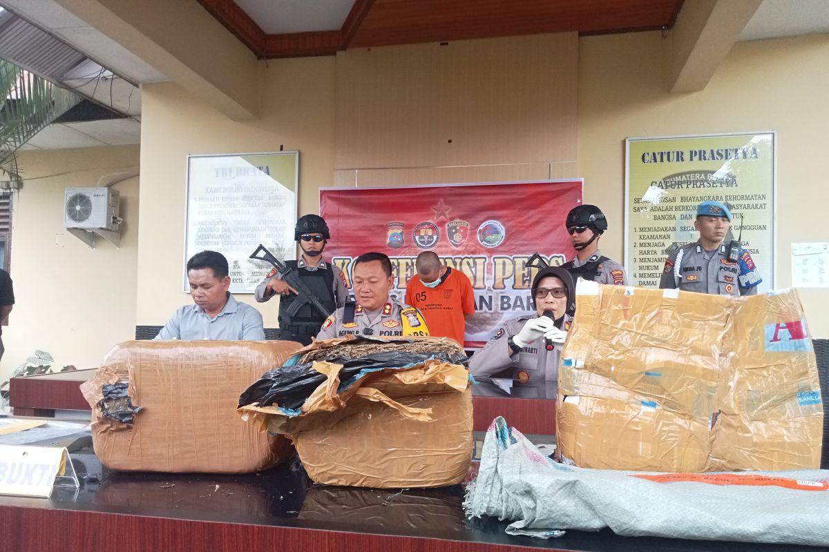 Polres Pasaman Barat gagalkan pengiriman 12 kilogram ganja melalui jasa pengiriman (Video)