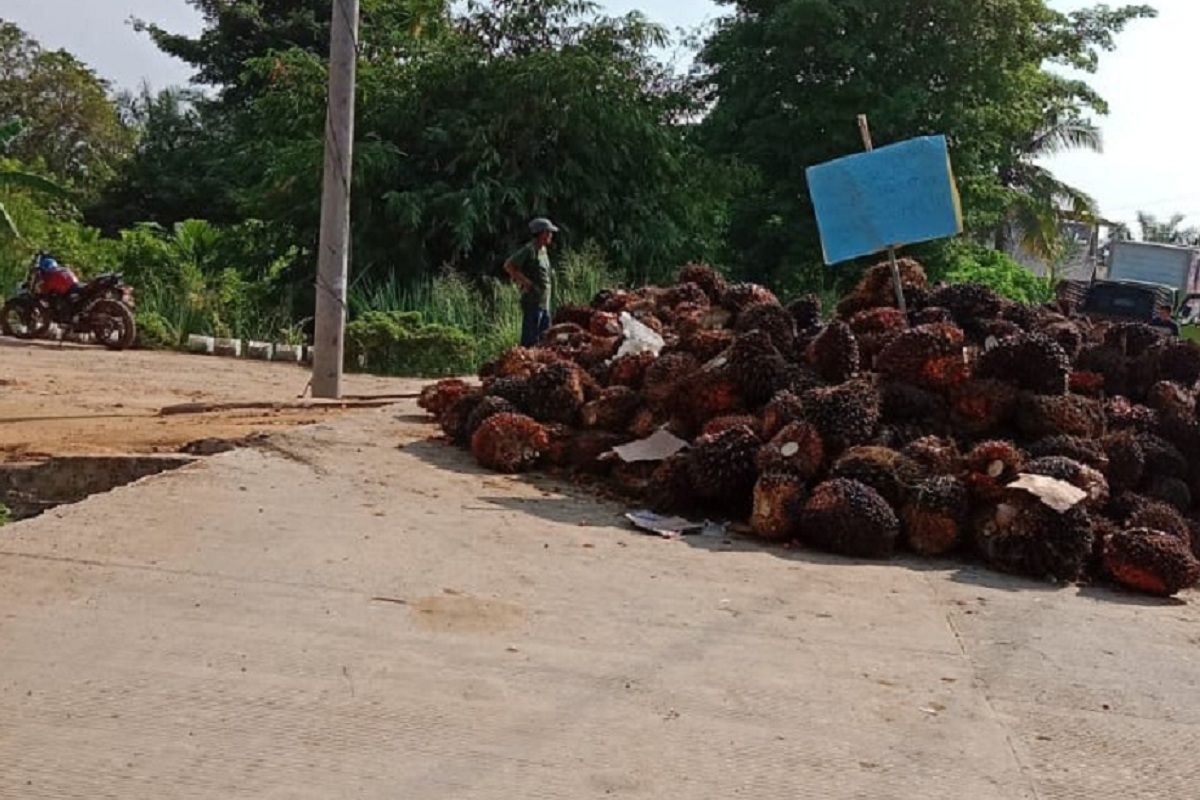 Warga blokir jalan di Kumpeh tuntut penyelesaian konflik lahan