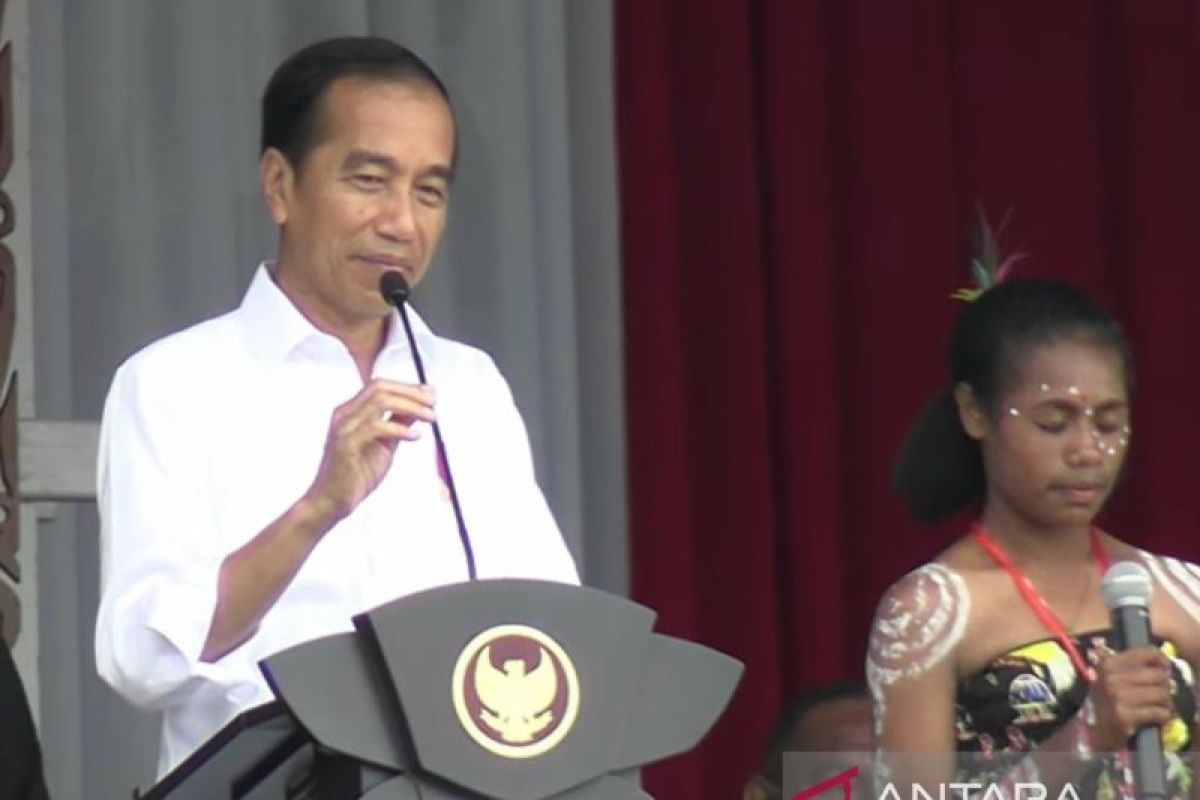 Jokowi hadiri Sail Teluk Cenderawasih hingga resmikan bandara