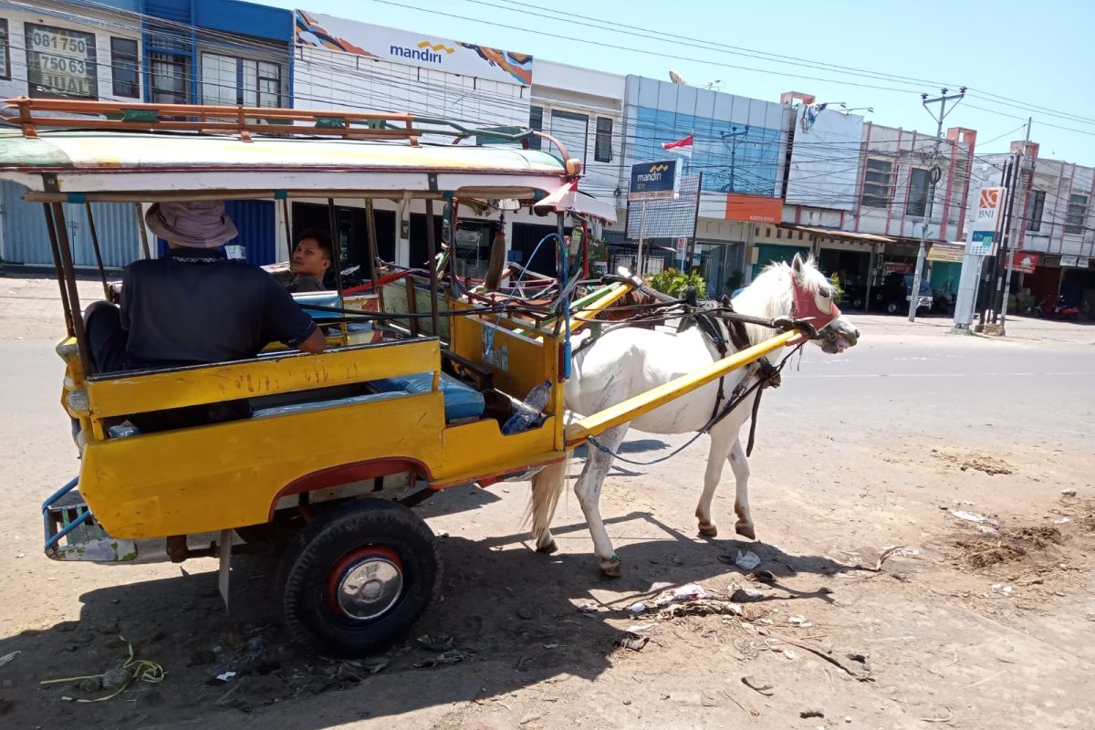 Mataram menyiapkan penampung kotoran kuda di pasar tradisional