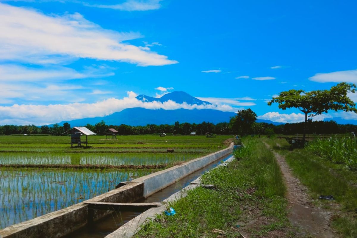 17.970 hektare sawah di Purwakarta tak bisa dialihfungsikan