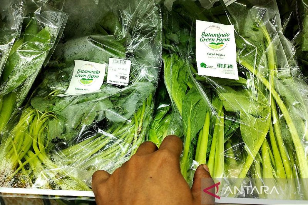 Petani milenial manfaatkan teknologi plasma ozon tingkatkan kualitas produk