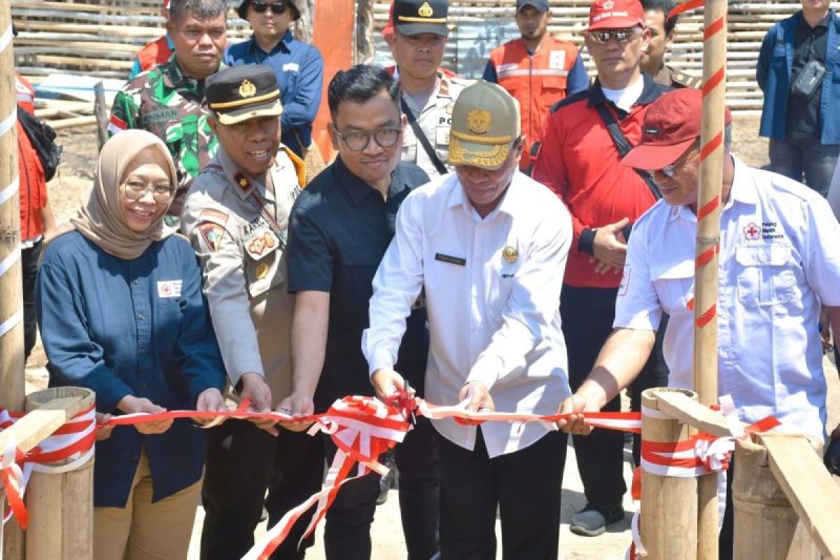 Manggarai Mangrove dan PMI tanam magrove di kawasan wisata