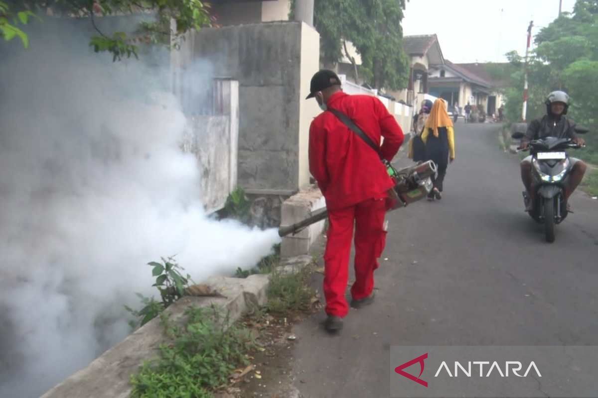 Temanggung  fokuskan penanganan  DBD di tiga kecamatan