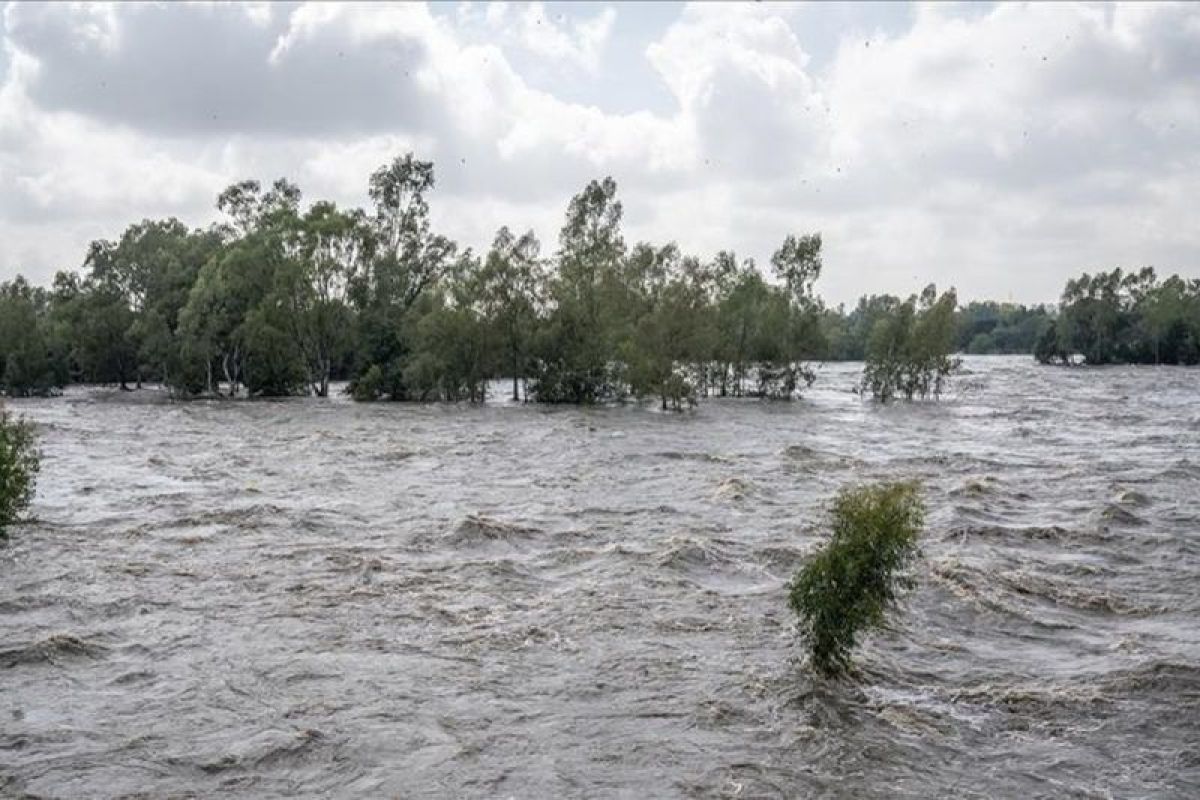 Korban tewas di Kenya akibat banjir El Nino capai 160  jiwa