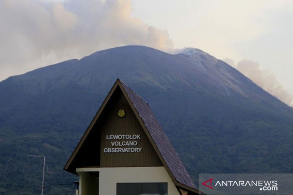 Gunung Ile Lewotolok meletus setinggi 500 meter