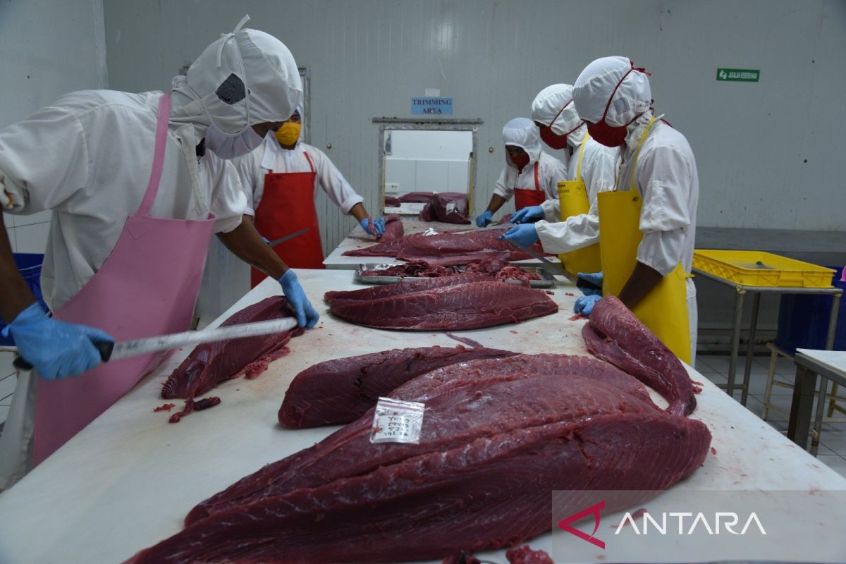 KKP sebut produksi tuna dalam negeri terus meningkat hingga 2021